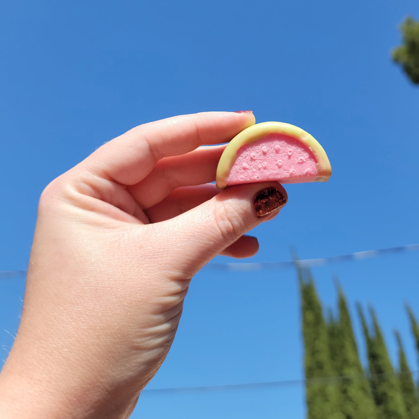 Watermelon Wax Melts