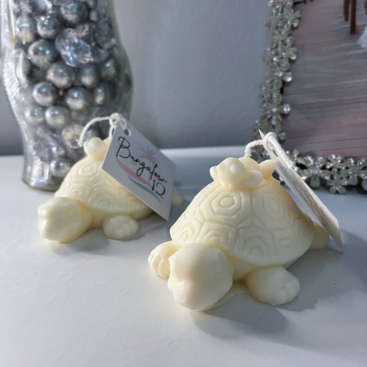 Unscented Franklin the Turtle & Friend(s)