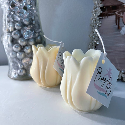 Unscented Tulip Bulb