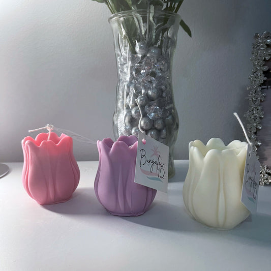 Unscented Tulip Bulb