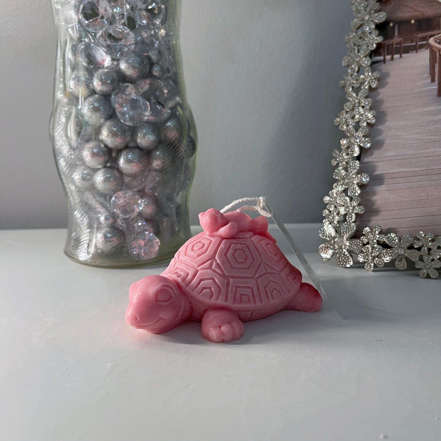 Unscented Franklin the Turtle & Friend(s)
