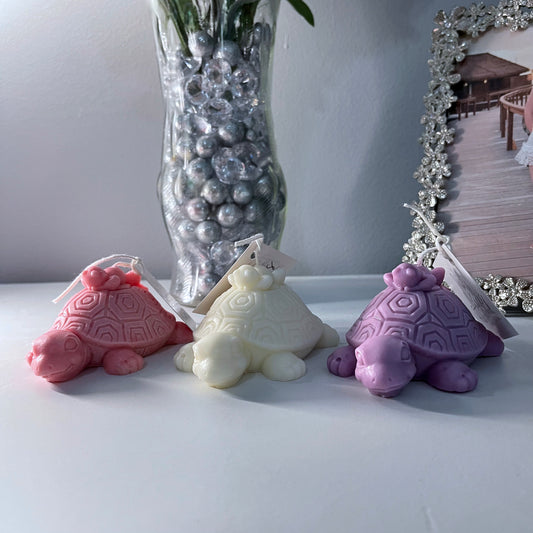 Unscented Franklin the Turtle & Friend(s)