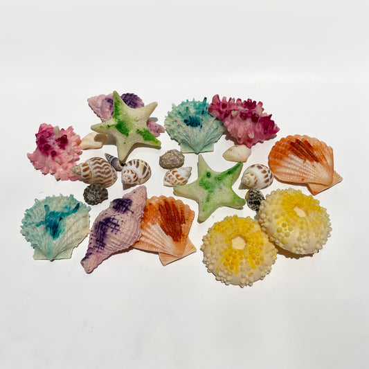 Marbled Sea Shell Wax Melts