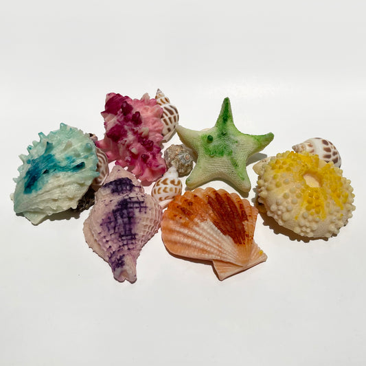 Marbled Sea Shell Wax Melts